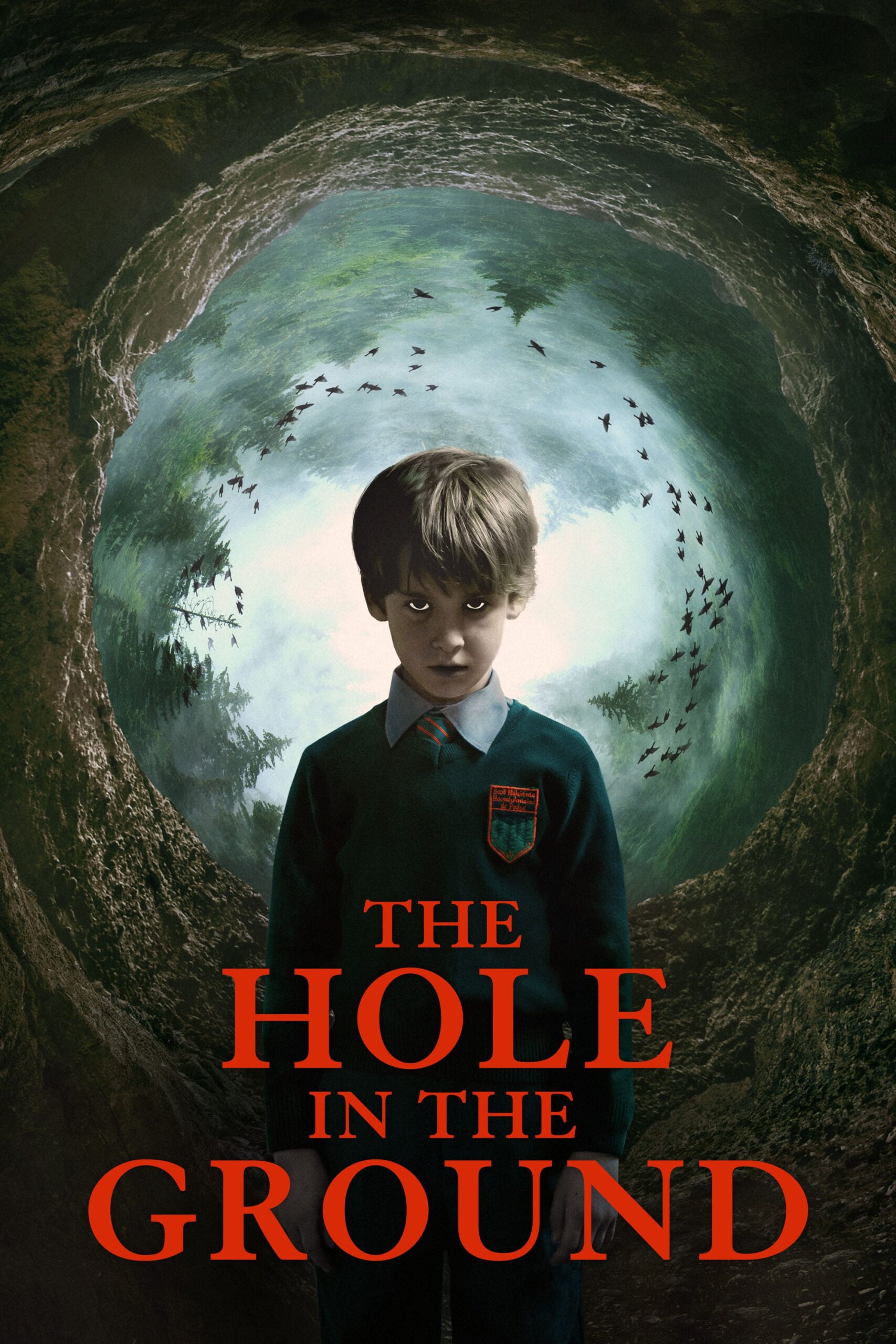 دانلود فیلم The Hole in the Ground 2019